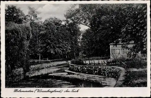 Ak Holzminden in Niedersachsen, Partie am Teich, Bäume, Haus