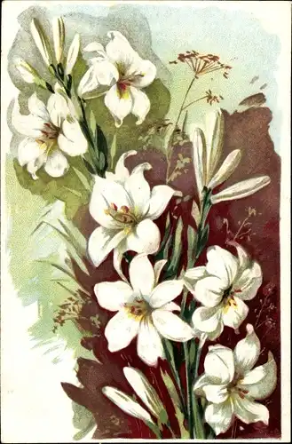 Präge Ak Blumen, weiße Blüten