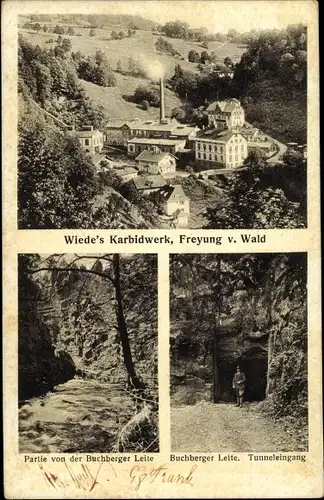 Ak Freyung im Bayerischen Wald, Wiede's Carbidwerk, Buchberger Leite, Tunneleingang
