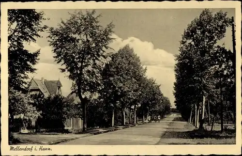 Ak Mellendorf Wedemark in Niedersachsen, Straßenpartie