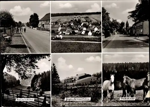 Ak Holzminden in Niedersachsen, Trakehner Panorama, Straßenpartie, Holzmindetal, Jugendfreizeitheim