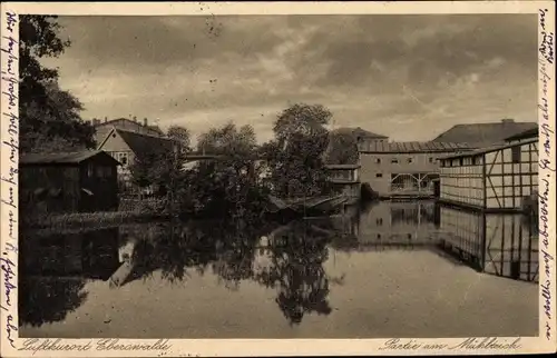 Ak Eberswalde in Brandenburg, Partie am Mühlteich