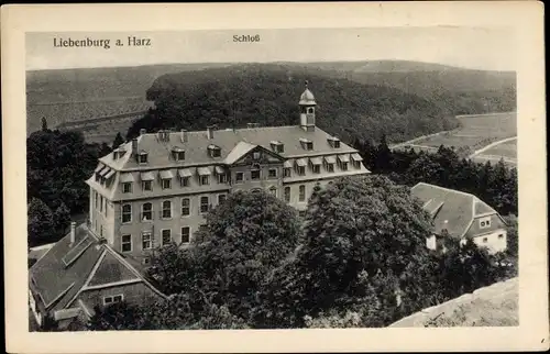 Ak Liebenburg in Niedersachsen, Schloss