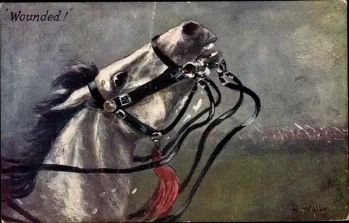 Künstler Ak Walker, H., Pferd, Wounded, Verwundetes Pferd