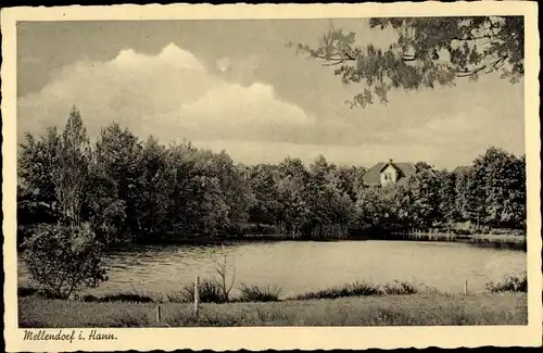 Ak Mellendorf Wedemark Niedersachsen, Teich, Uferpartie