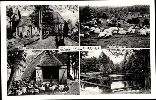 Ak Eimke Uelzen Lüneburger Heide in Niedersachsen, Kirche, Heidschnucken, Schafstall, Mühlenteich