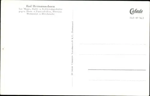 Ak Bad Driburg Nordrhein Westfalen, Bad Herrmannsborn, Kurhaus, Speisesaal