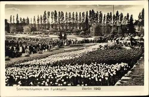 Ak Berlin Charlottenburg Westend, Sommerblumen am Funkturm