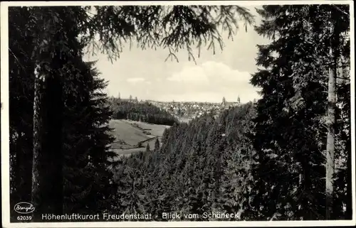 Ak Freudenstadt im Nordschwarzwald, Ortsansicht vom Schöneck