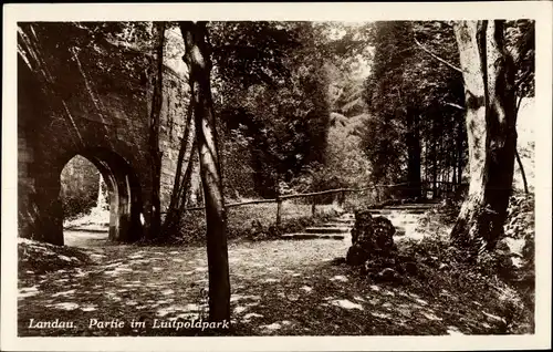 Ak Landau in der Pfalz, Partie im Luitpoldpark