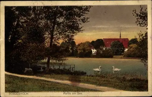 Ak Bordesholm in Schleswig Holstein, Seepartie, Schwäne