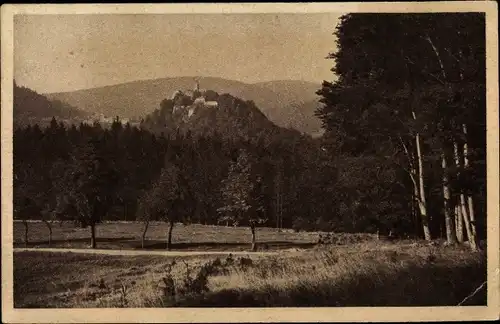 Ak Schwarzburg in Thüringen, Panorama von der Baderstegwiese aus