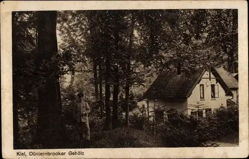 Ak Kiel in Schleswig Holstein, Düsternbrooker Gehölz