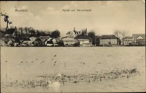 Ak Reinfeld in Schleswig Holstein, Partie am Herrenteich, Panorama vom Ort