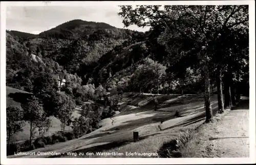 Ak Ottenhöfen im Schwarzwald, Weg zu den Wasserfällen Edelfrauengrab