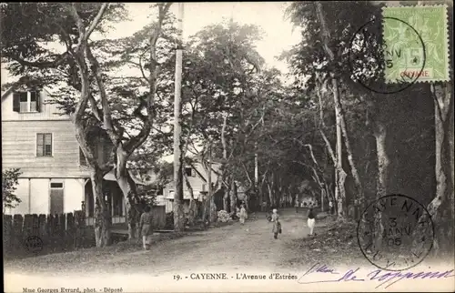 Ak Cayenne Französisch Guayana, L'Avenue d'Estrees