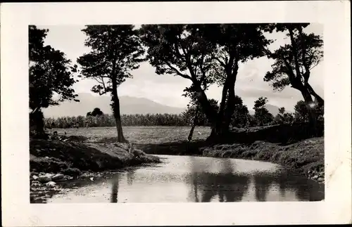 Ak Capesterre Guadeloupe, Paysage à Salasone