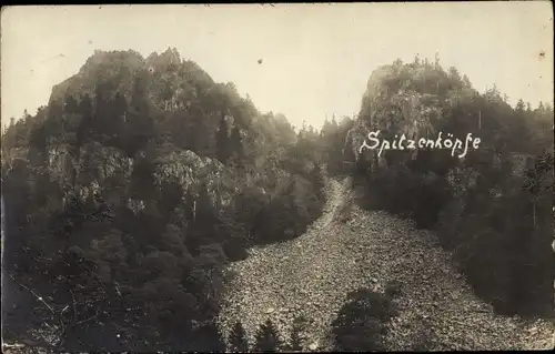 Foto Ak Vosges, Spitzenköpfe, Felsen