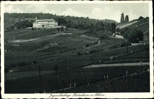 Ak Rüdesheim am Rhein in Hessen, Blick zur Jugendherberge