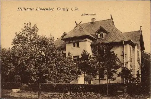 Ak Coswig in Sachsen, Heilstätte Lindenhof, Albertvilla