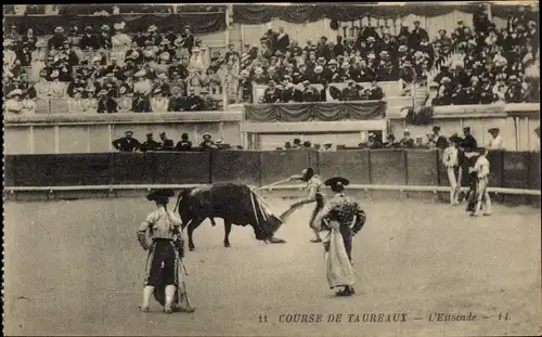 Ak Course de Taureaux, L'Estocade, Stierkampf