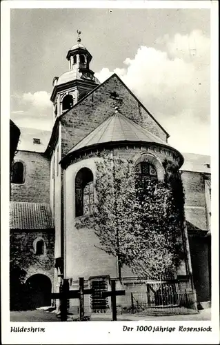 Ak Hildesheim, der 1000jährige Rosenstock, Kirche