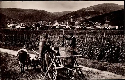 Ak Riquewihr Reichenweier Elsass Haut Rhin, Les vendanges