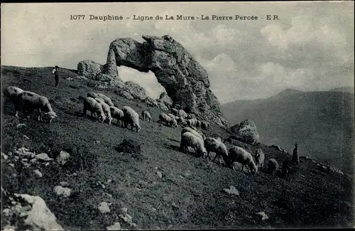 Ak Dauphiné, Ligne de la Mure, La Pierre Percée, Schafherde