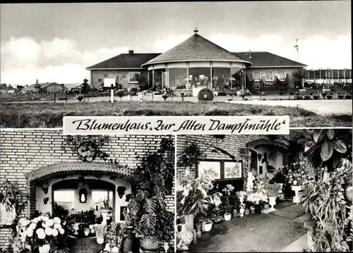 Ak Raesfeld im Münsterland, Blumenhaus Zur alten Dampfmühle, Außenansicht, Innenansicht