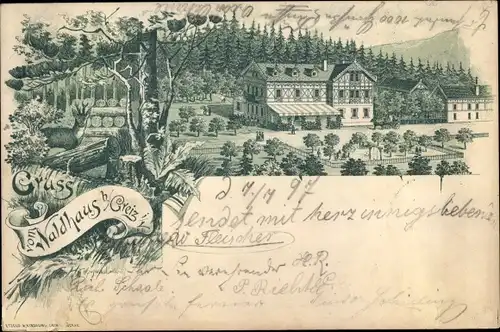 Litho Greiz in Thüringen, Gruß vom Waldhaus
