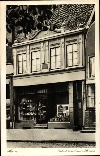 Ak Husum in Nordfriesland, Geburtshaus Theodor Storm's