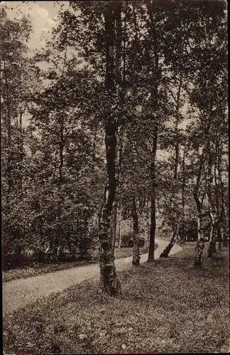 Ak Neumünster in Schleswig Holstein, Stadtpark