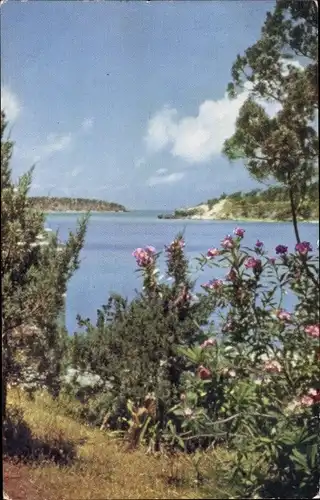 Ak Somerset Bermuda, Ely's Harbour, Landschaft