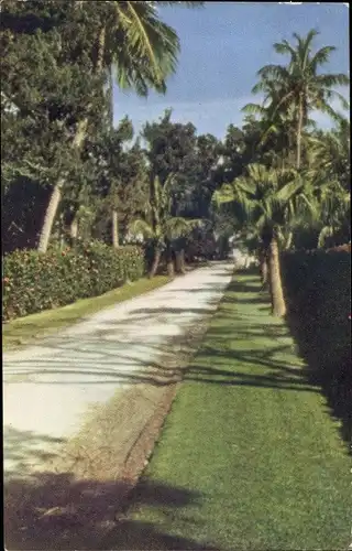 Ak Bermuda, A lane in Fairylands, Straßenpartie