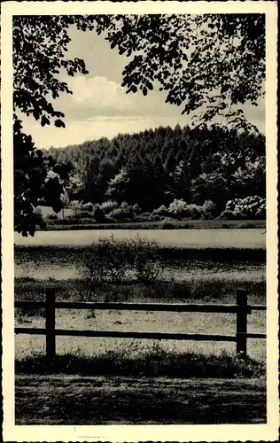 Ak Molfsee in Schleswig Holstein, Blick auf den Rammsee