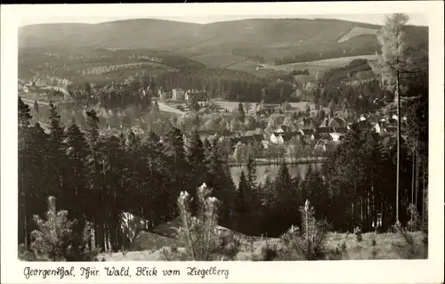Ak Georgenthal in Thüringen, Blick vom Ziegelberg
