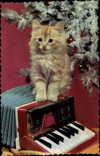 Ak Kleines Kätzchen auf einem Akkordeon, Weihnachtsbaum