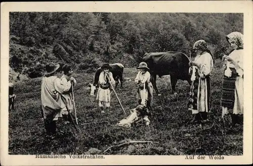 Ak Rumänische Volkstrachten, Auf der Weide, Bauern