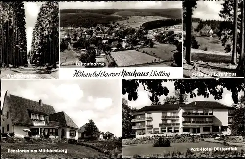 Ak Neuhaus im Solling Holzminden, Waldpartie, Pension, Parkhotel, Ort