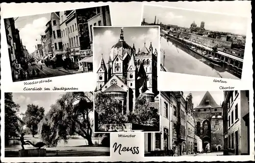 Ak Neuss am Rhein, Hafen, Münster, Obertor, Niederstraße, Eierdieb im Stadtgarten