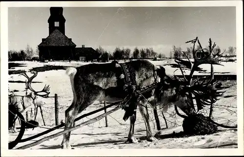 Foto Ak Rentiere, Schlitten, Kirche, Winteransicht