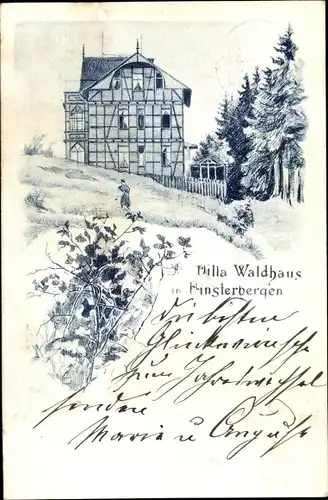 Litho Finsterbergen Friedrichroda Thüringen, Villa Waldhaus, Außenansicht, Busch