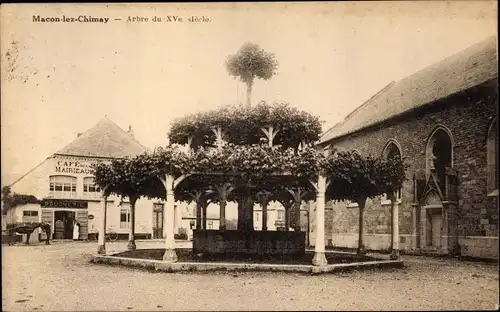 Ak Macon Momignies Wallonien Hennegau, Arbre du XVe siècle