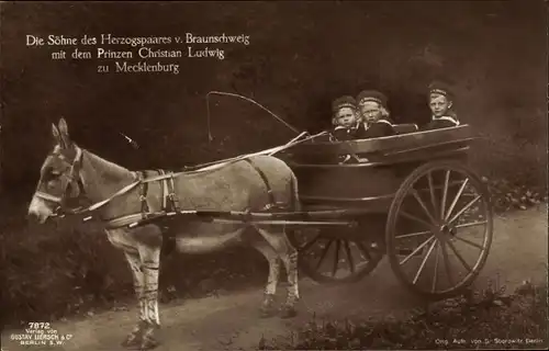 Ak Söhne des Herzogspaares von Braunschweig, Prinz Christian Ludwig zu Mecklenburg, Esel