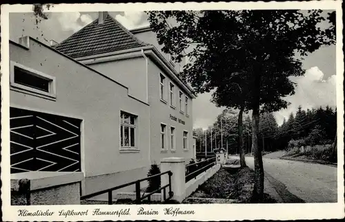 Ak Flammersfeld im Landkreis Altenkirchen Westerwald Rheinland Pfalz, Pension Hoffmann, Rheinstr. 85