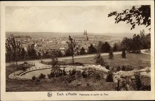 Ak Esch an der Alzette Luxemburg, Panorama et partie du Parc