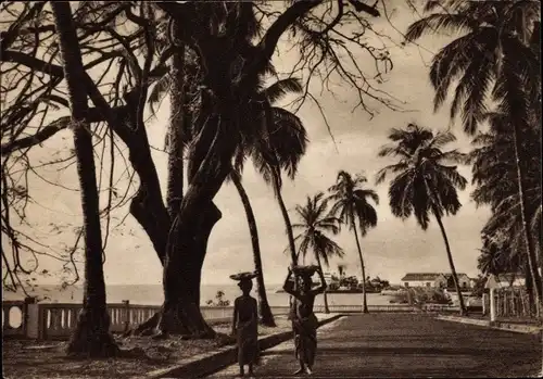 Ak Conakry Guinea, Un coin de la Corniche et du port