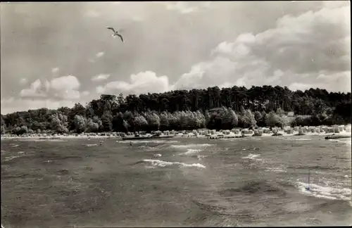 Ak Seebad Lubmin, Am Strand, Möwen