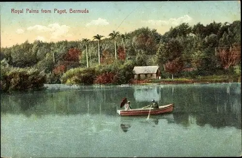 Ak Paget Island Bermuda, Royal Palms