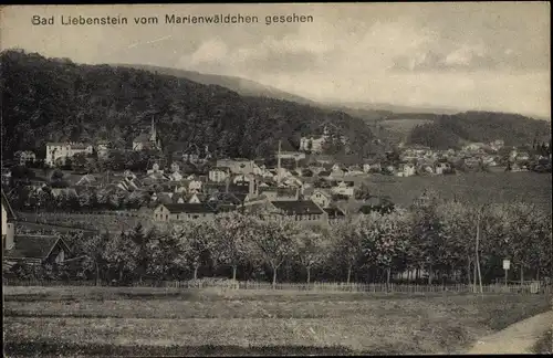 Ak Bad Liebenstein im Thüringer Wald, Panorama vom Marienwäldchen aus